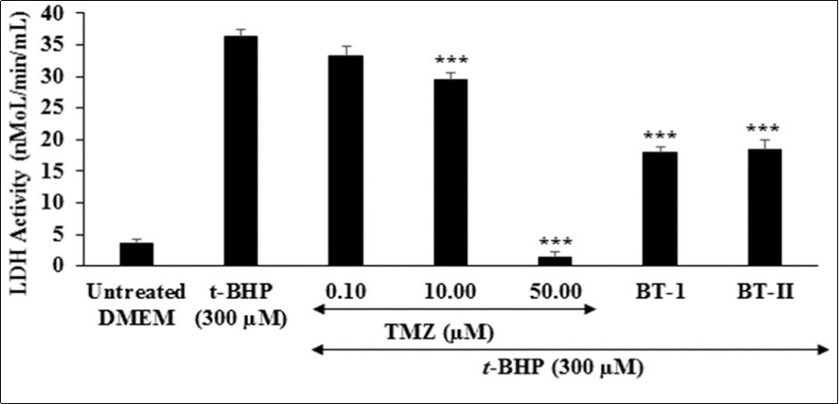 The effect of the test items on lactate dehydrogenase (LDH) against tert-butyl hydroperoxide (t-BHP) induced damage. TMZ: Trimetazidine; BT-I: One-time Biofield Energy Treated DMEM; BT-II: Two-times Biofield Energy Treated DMEM.