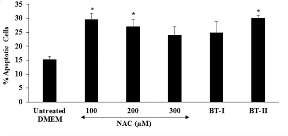 Effect of the test items on percent apoptotic cells in H9c2 cells after 24 hours of treatment. NAC: N-acetyl cysteine; BT-I: One-time Biofield Energy Treated DMEM; BT-II: Two-times Biofield Energy Treated DMEM. *p≤0.05 vs. untreated DMEM.