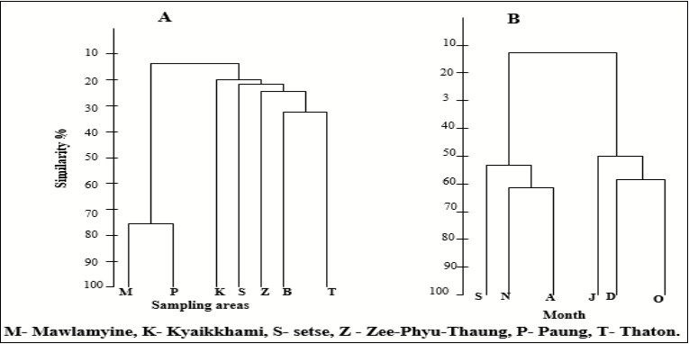 A) Dendrogram of similarity among the seven stations; B) among the six months from July to December 2017.