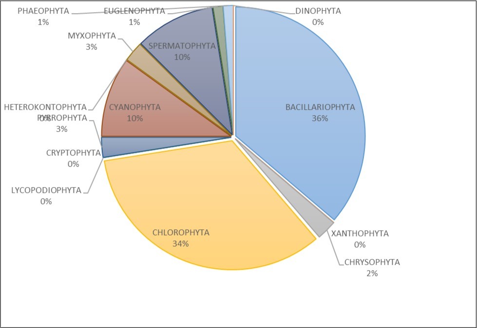 Distribution occurrence of each taxonomic group among the population of phytoplankton between November 2013 to July 2014