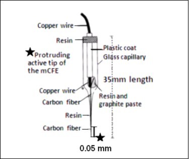schematic representation of the micro-electrode