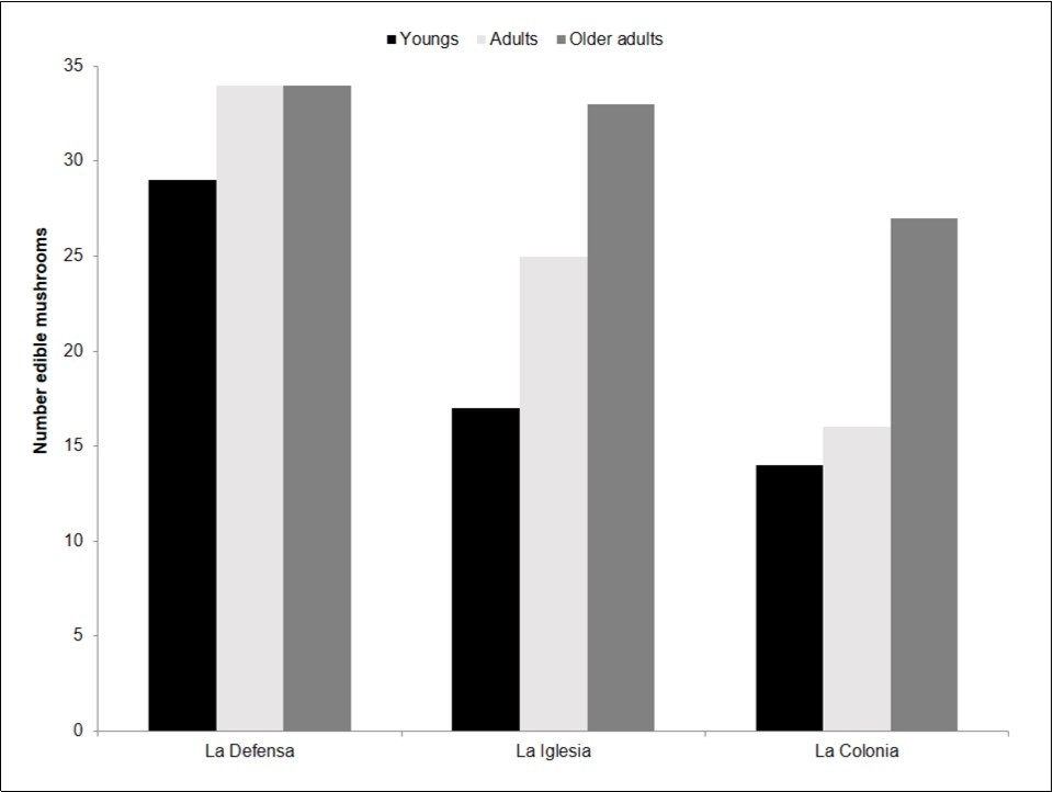 Number of edible mushrooms mentioned by each age range in the three areas of the community.