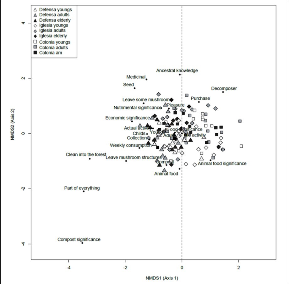 Non-metric multidimensional scaling (NMDS) showing the distribution on the axis of the inhabitants of the different areas of SPT, according to their age range and its relationship with mushrooms bio-cultural knowledge. Triangles represent people from La Defensa, the diamonds to La Iglesia and the squares to the people of La Colonia. White makes reference to young people, gray color to adults and black to older adults. The solid round dots allow to locate the ethnotaxa.