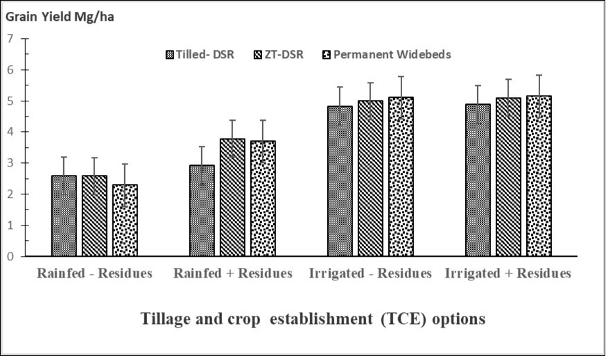Effect of TCE options, residue retention and irrigation provisions (+/-) on rice productivity following the PMP-DS technology.