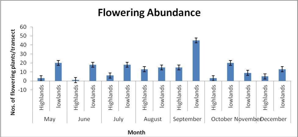 Abundance per transect across major flowering seasons.
