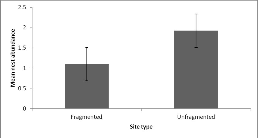 Mean nests abundance across the two site types.