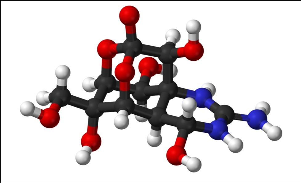 Section of the Tetrodotoxin (TTX) 43–93.