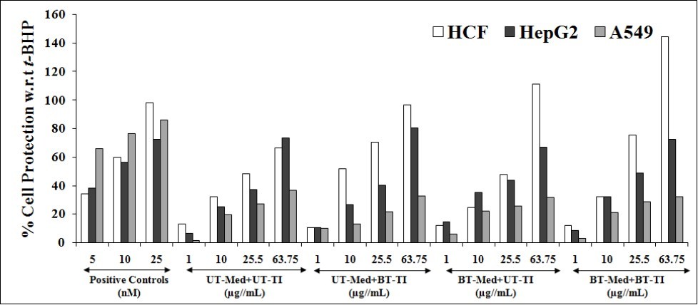 Cytoprotective action of the test formulation in human cardiac fibroblasts cells (HCF), human hepatoma cells (HepG2), and adenocarcinomic human alveolar basal epithelial cells (A549) against tert - butyl hydroperoxide (t -BHP) induced damage. Trimetazidine (µM), silymarin (µg/mL), and quercetin (µM) were used as positive control in HCF, HepG2, and A549 cells, respectively. UT: Untreated; Med: Medium; BT: Biofield Treated; TI: Test item.