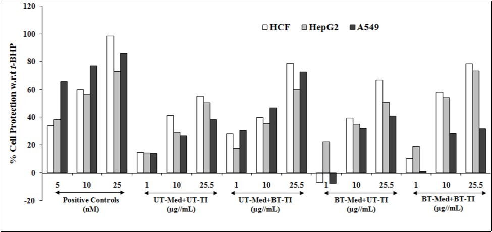 Assessment of cytoprotective effect of the test formulation in human cardiac fibroblasts cells (HCF), human hepatoma cells (HepG2), and adenocarcinomic human alveolar basal epithelial cells (A549) against tert-butyl hydroperoxide (t-BHP) induced damage. Trimetazidine (µM), silymarin (µg/mL), and quercetin (µM) were used as positive control in HCF, HepG2, and A549 cells, respectively. UT: Untreated; Med: Medium; BT: Biofield Treated; TI: Test item.