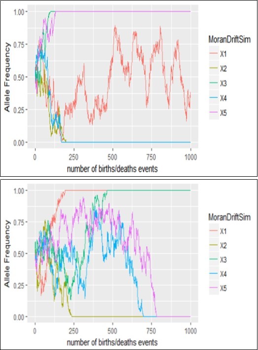 Genetic drift of the process based on the Moran’s model when N=5 and N=50