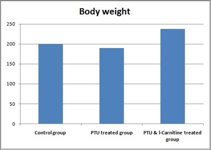 Bar chart showing rat body weight in studied groups