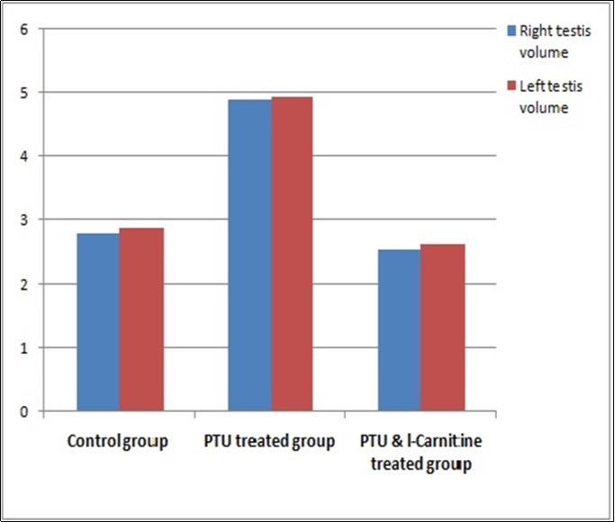 Bar chart showing right and left testes volume in studied groups