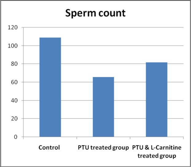 Bar chart showing sperm count in studied groups.
