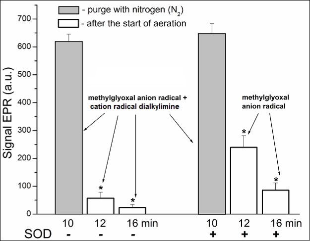 The effect oxygen and SOD produce on the level of organic free radicals resulting from the reaction between methylglyoxal and L-lysine. In the figure: EPR signals of these radicals recorded under nitrogen purging are put in gray; the same samples 2 and 6 min after the beginning of aeration – in white. The reaction mixture content was the same as in the legend to Fig. 3. All values are mean ± SEM. n=5; *p<0.01.