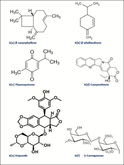Plant derived biomolecules studied in breast cancer