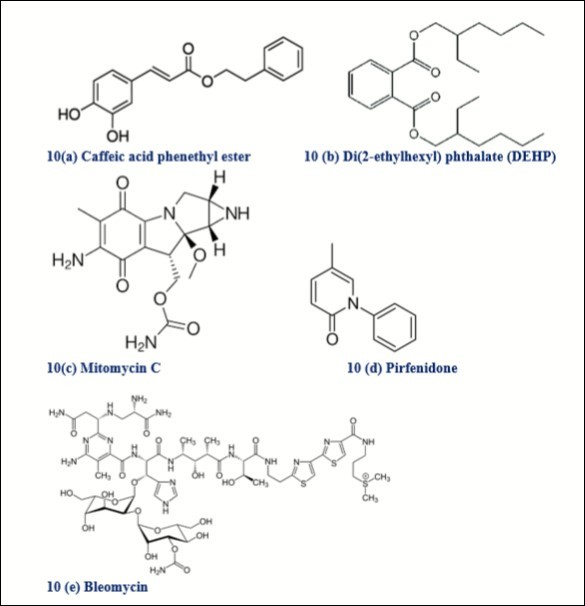 Biomolecules from non-plant origin studied or used in different types cancers