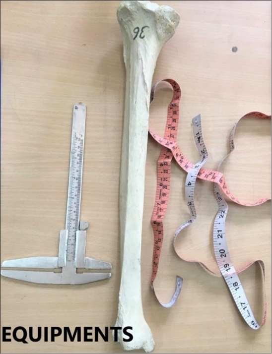Measurements done on tibia using Vernier caliper and measuring tape