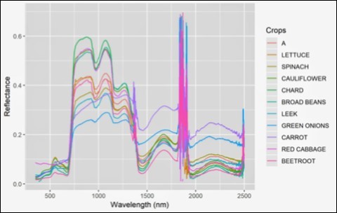 Horticultural species Spectral Signature. Own acquisition CONAE.