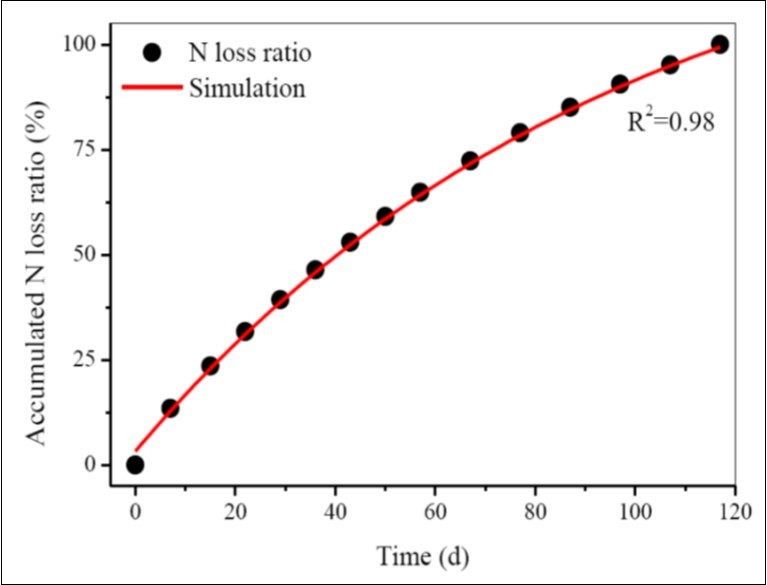 The measured and simulated cumulative N loss ratio in the 2013 rice growing season