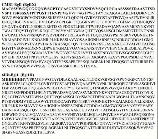 Protein sequences of Bgl1X and Bgl1H