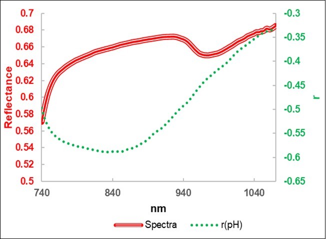 Average reflectance spectra of the leaves and correlation with the pH.