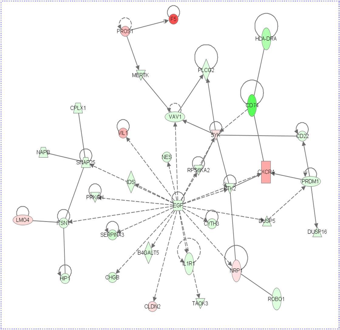 Gene expression network indicating EGF as a central node and switched on in HT29-BR cells when compared with HT29 cells. Green and red shading indicate genes that are up- and down-regulated in HT29-BR cells respectively when compared to HT29 cells.