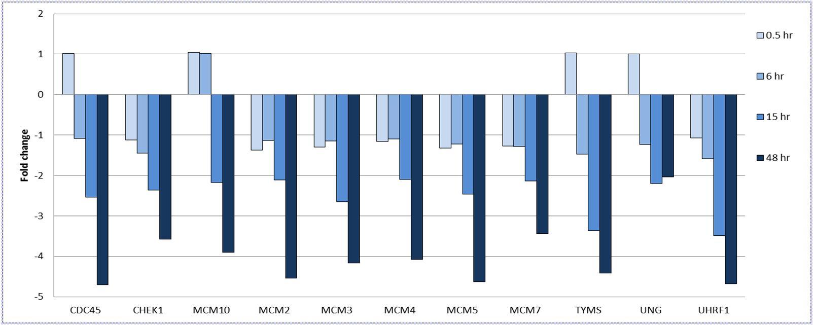 Fold change in the expression of DNA repair genes and cell cycle regulators in HT29-BR cells over 48 hrs. Comparisons are with control HT29-BR cells (0 hr). The change in expression of these genes were not significant at 0.5 or 6 hrs, but were found to be significant at t=15 and 48 hrs only (FDR <1%, fold change >±2).