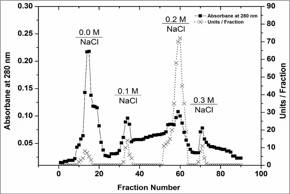 A typical elution profile for the chromatography of peroxidase using a CM-Sepharose column.