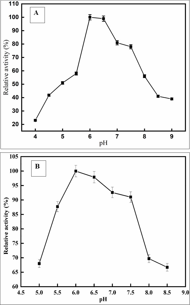 Optimum pH (A), pH stability (B)