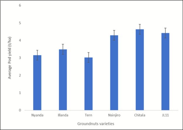 Average pod yield (t/ha) of the groundnuts varieties at physiologically mature stage.