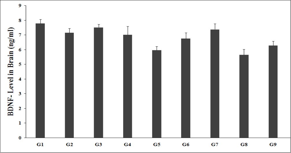 The effect of the test formulation on the level of brain BDNF in Sprague Dawley rats. G: Group; G1: Normal control; G2: Disease control (UCS: Unpredictable Chronic Stress + 0.5% CMC); G3: Reference item (UCS + Imipramine hydrochloride 30 mg/kg); G4: (UCS + untreated test formulation); G5: (UCS + Biofield Energy Treated test formulation); G6: (UCS + Biofield Energy Treatment per se to animals from day -15; G7: (UCS + Biofield Energy Treated test formulation from day -15); G8: (UCS + Biofield Energy Treatment per se plus Biofield Energy Treated test formulation from day -15), and G9: (UCS + Biofield Energy Treatment per se animals plus untreated test formulation). Values are presented as mean ± SEM (n=6).