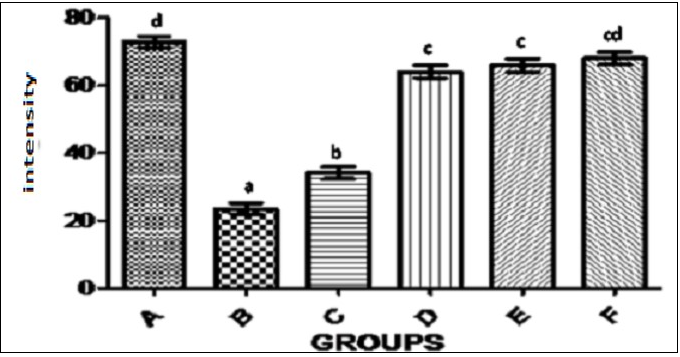 Bar chart shows collagen staining intensity (%) in the colon in the rats among the various groups. a, b, c, cd and d on top each bar signifies that mean with different letters differs significantly at p<0.0001 while means with the same letters do not differ significantly at p<0.0001 (using one way ANOVA with Duncan multiple range test).