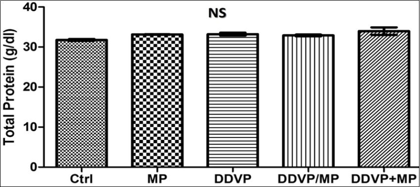shows there was no significant difference observed in the total protein level of the liver of experimental animals.