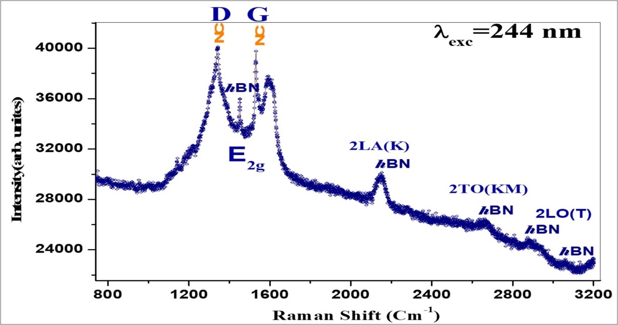 Raman spectra of the BTNC sintered sample using a 20-mm diameter die.