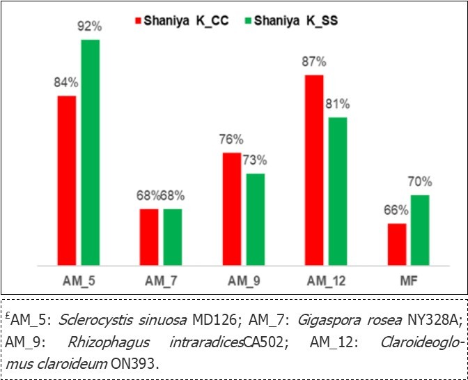 Different responses in the NIR kernel fingerprint from the AM£ types in cultivar Shaniya.