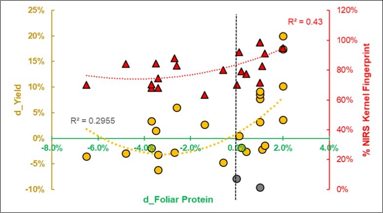 Regression of the NIR spectral fingerprint of the Kernels and the size-effect of yield (d_Yield = Ln(S/C) on the foliar protein. Two presumed outliers are in gray.