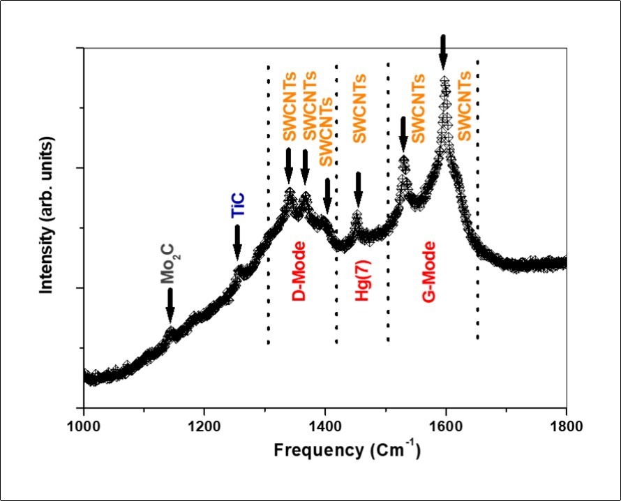 Raman spectra of the synthetized samples using a 20 mm diameter die.