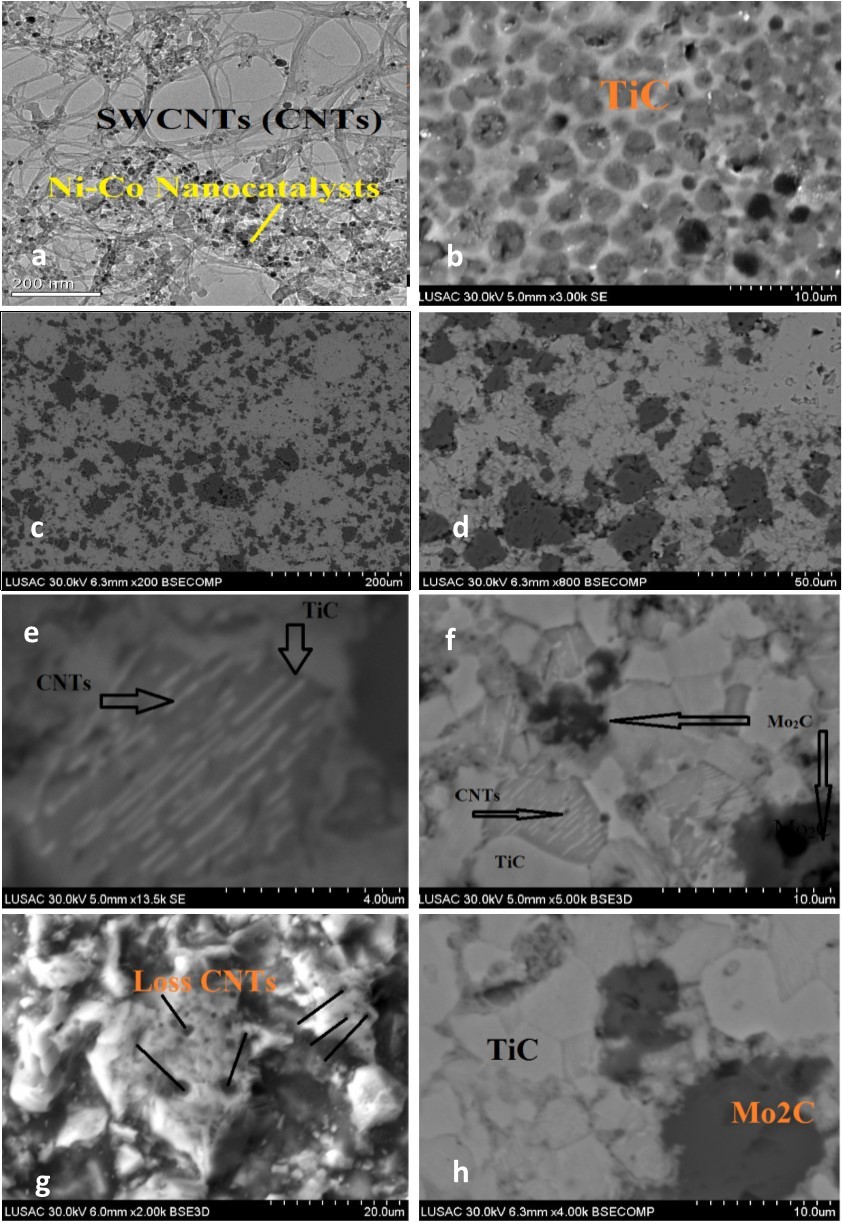 High magnification microstructural representative SEM image of MTC polished and etched surface for the sintered samples using a 20-mm diameter die. (a)-TEM of SWCNTs, (b)-SinteredTiC grains , (c)-Nanocompositesoverview, (d)- nanocomposites overview with magnification, (e)-SWCNTs into the TiC grain, (f)-SWCNTs into the TiC grains ,(g)-Pore like structure of losses SWCNTs , (h)-Nanocomposites overview with higher magnification.