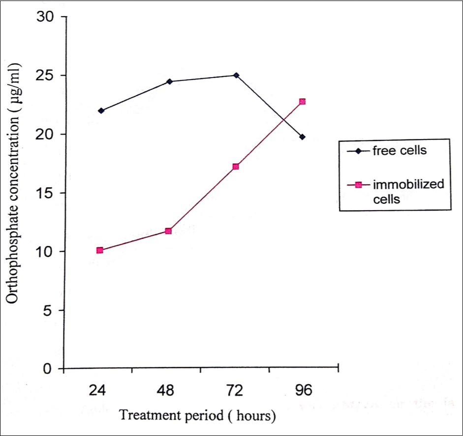 Orthophosphate released during the degradation of 200ppm methyl parathion by free and immobilized cells of Pseudomonas stutzeri