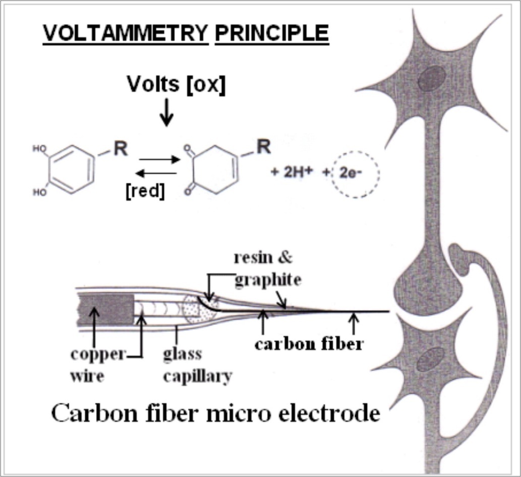 voltammetry principle and schematic representation of the carbon fiber micro electrode (modified from ref 5 with permission).
