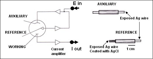 schematic representation of the three-electrode potential system left and the reference and auxiliary electrodes (modified from ref 6 with permission).