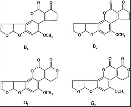 General structures of major aflatoxins AFB1, AFB2, AFG1, and AFG2 6.