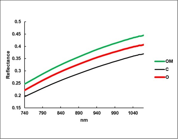 Average reflectance spectra of the litterbags.