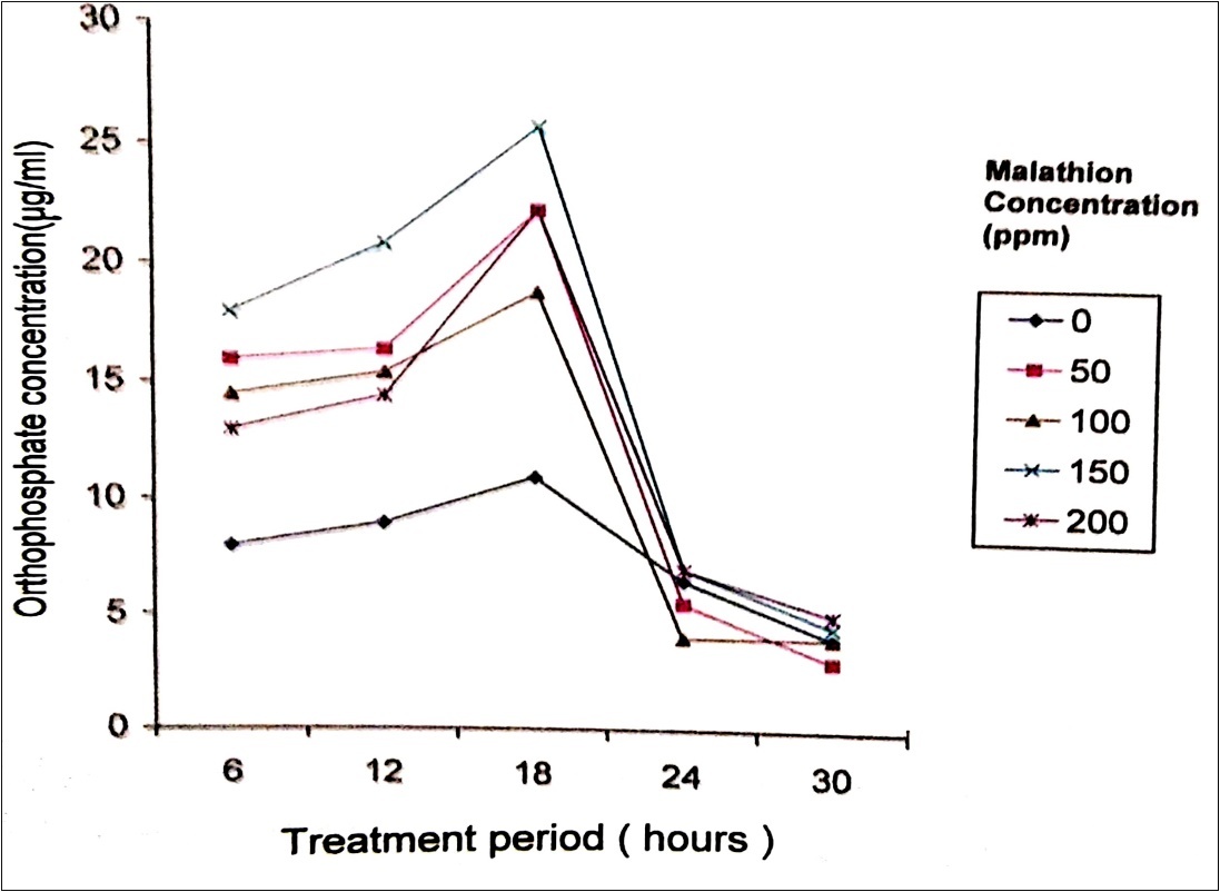 Orthophosphate released during the degradation of Malathion by P. stutzeri