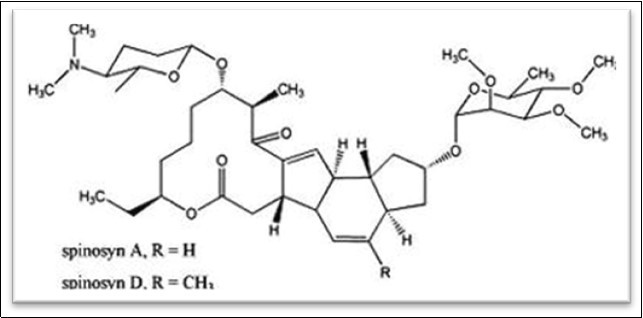 Chemical Structure of Spinosad