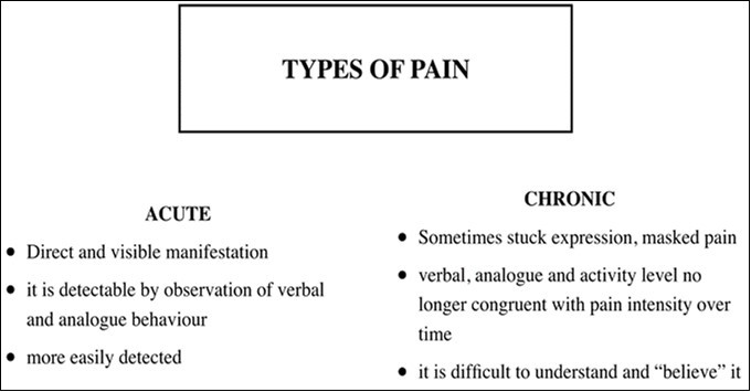 Types of pain