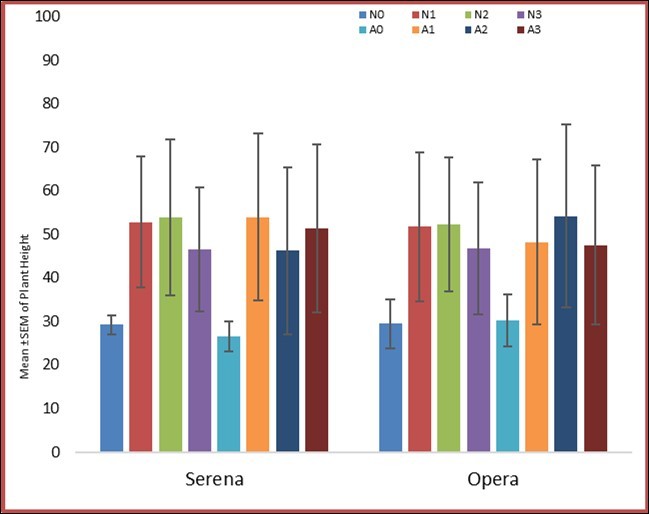 Effect of Argel and Nitrogen on Plant height (cm(ز