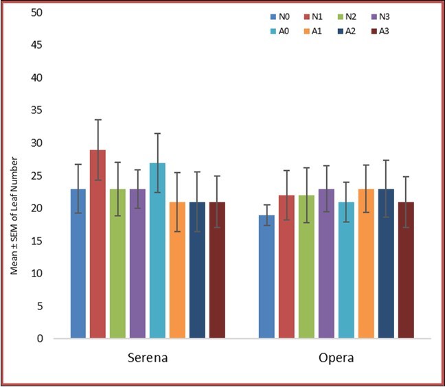 Effect of Argel and Nitrogen on leaf number of Serena and Opera