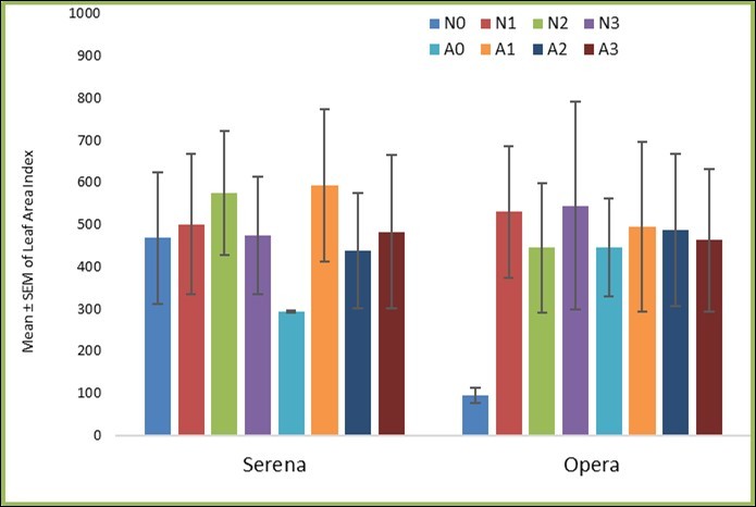 Effect of Argel and Nitrogen on leaf Area Index