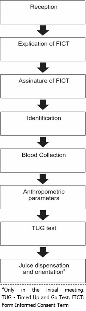 Flowchart of experimental design in the initial and final meetings.